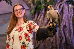 Falcon-Flighted-Friend_Britta-Moletz_June-2026-scaled
