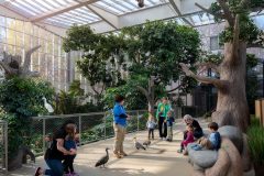 National-Aviary_Superheroes-of-the-Sky_Guests-in-Wetlands_Elliott-Cramer_2023-edited