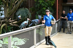 Zookeeper-Hope-with-Isabella-and-Gus_Tropical-Rainforest-Feeding_Britta-Moletz_May-2026-1