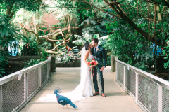 The_Garden_Room-Wedding-Lorena_Sam-Katie_Hyslop-Screenshot-150428