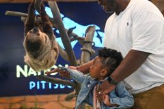 Sloth Encounter (1) _ a dad helping his young daughter to touch the soft fur of a sloth