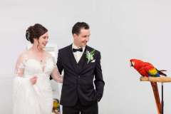 Wedding-couple-2