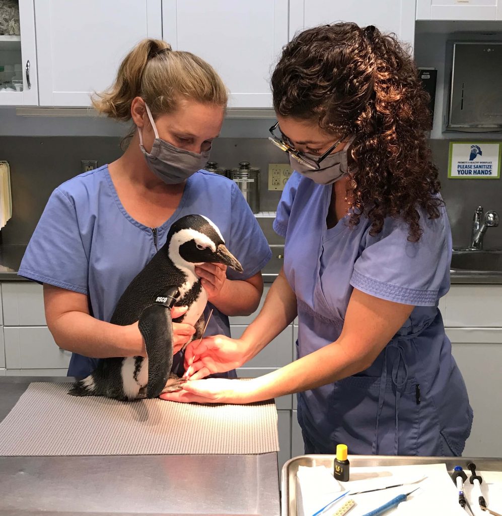 Avian Hospital | National Aviary