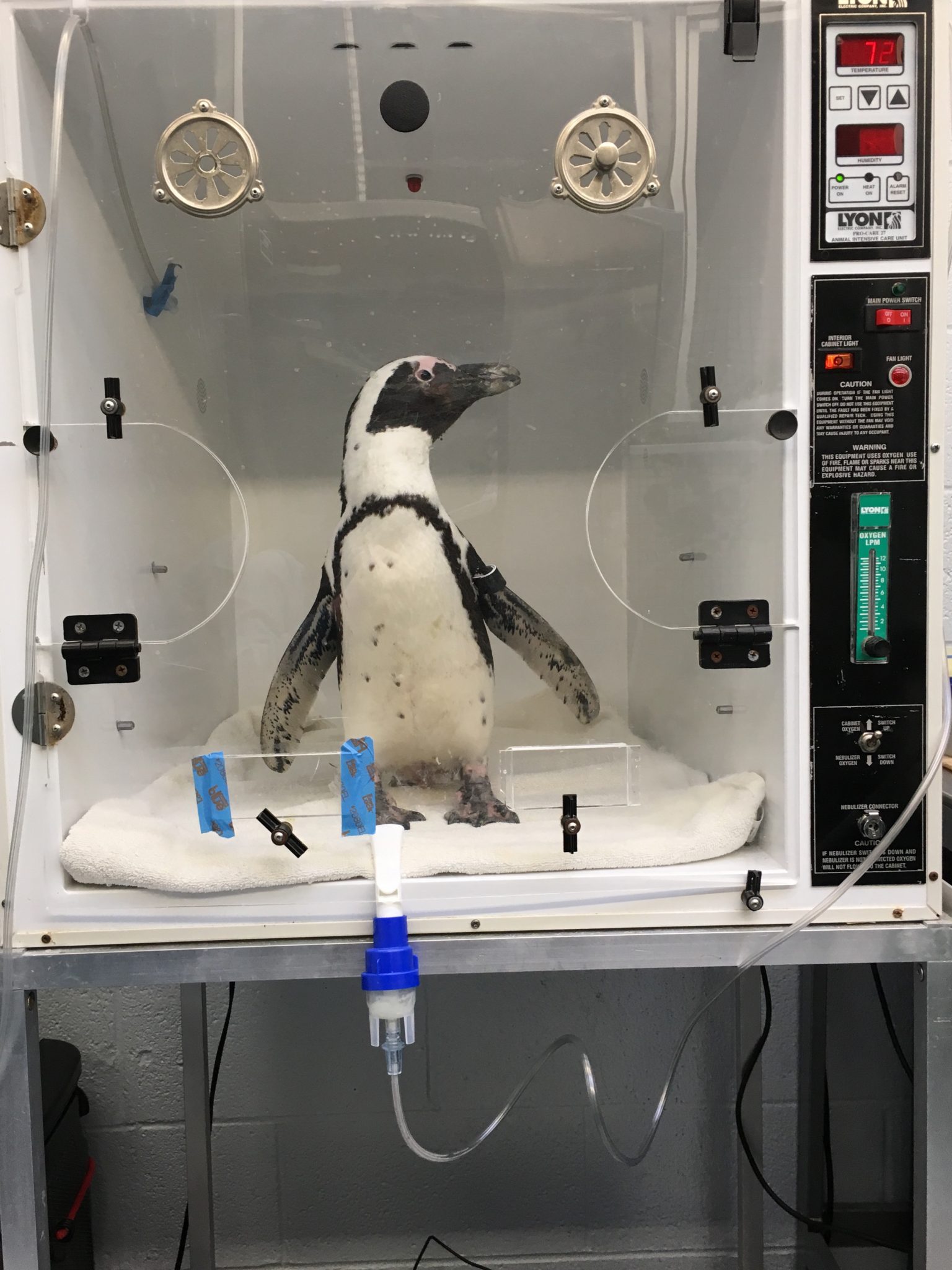 Customized Medicine National Aviary