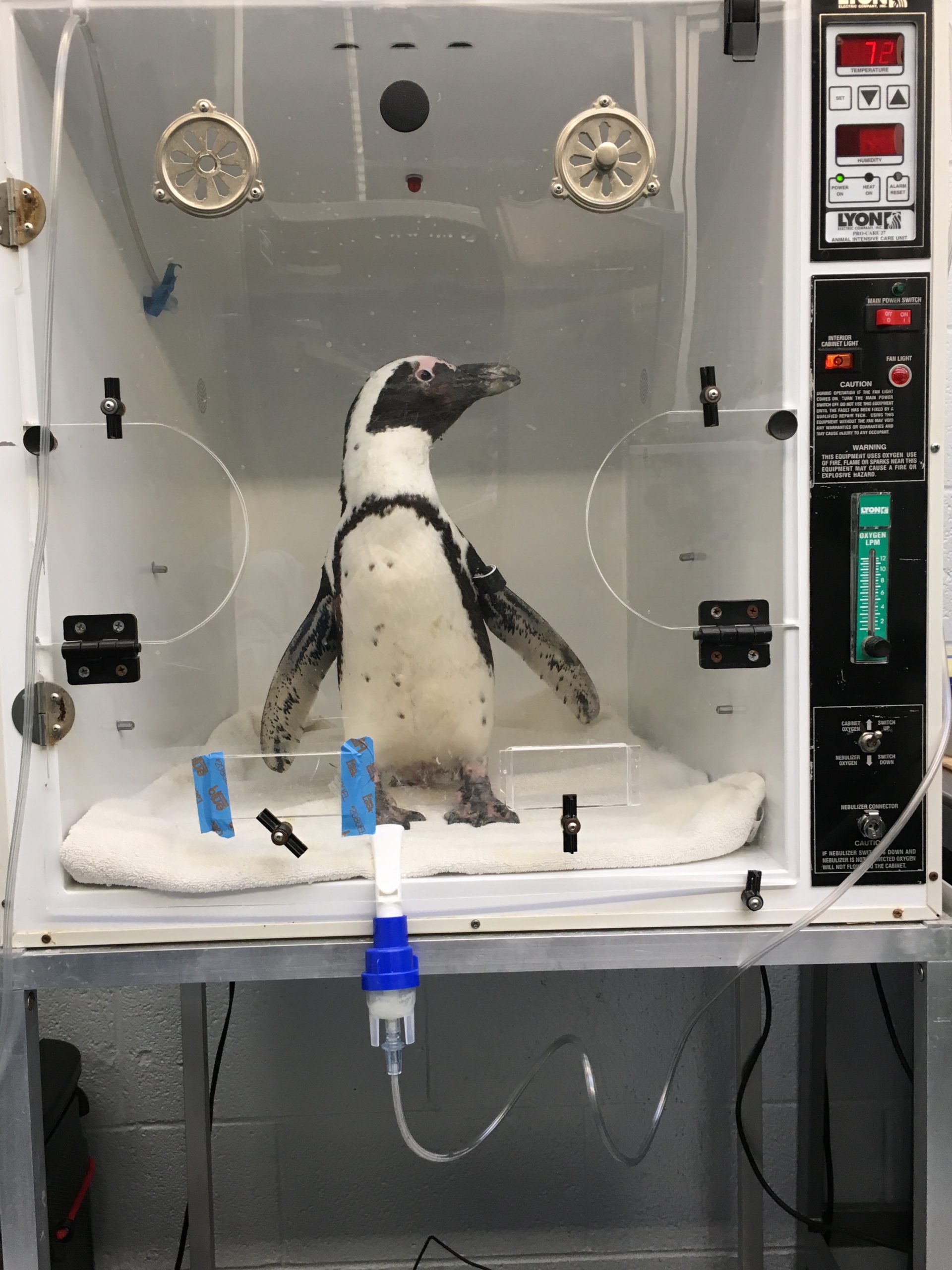 Customized Medicine National Aviary