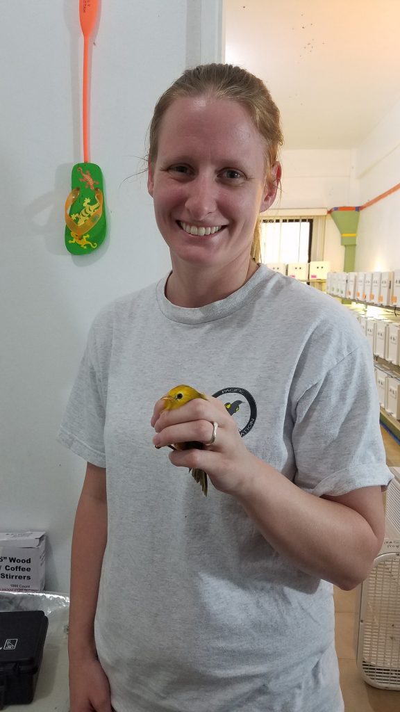 Jennifer Smith gently holds a Golden White-eye
