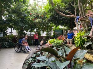 Wide shot of Tropical Rainforest with guests looking at the waterfall