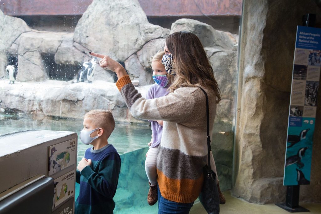 A woman and two children pointing and looking at Penguin Point
