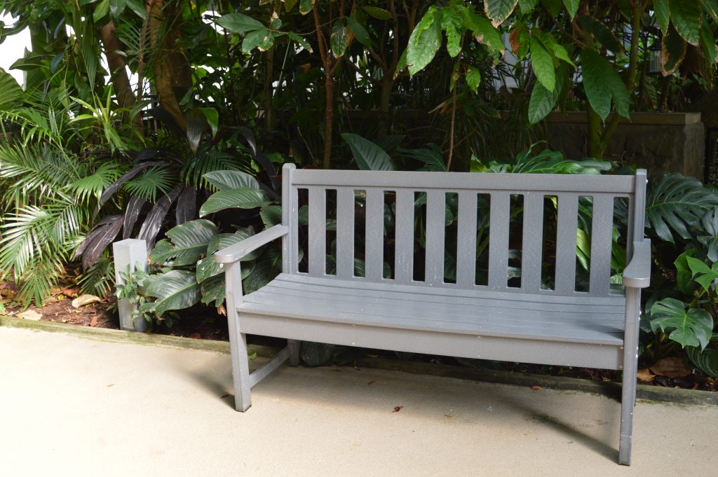 A bench surrounded by greenery