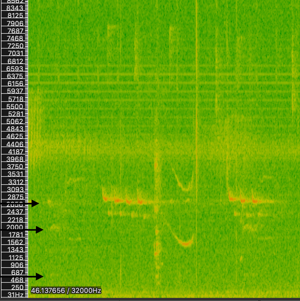 Image of a sonogram for a sound file