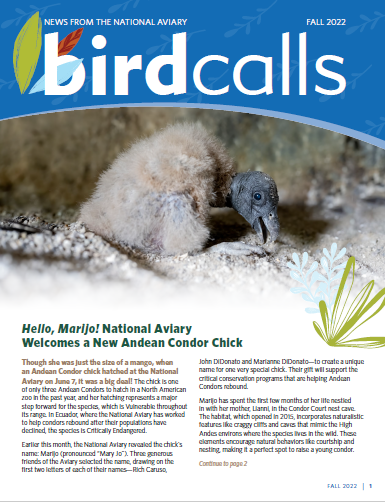 BirdCalls Fall 2022 Front Page