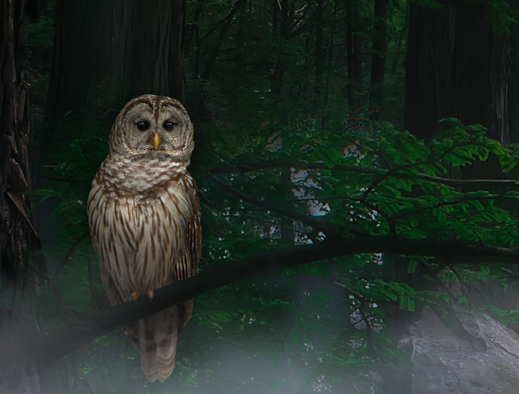 Visit National Aviary