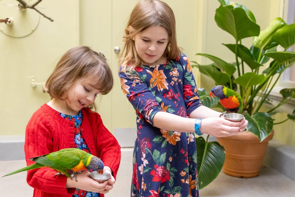 Two young girls holding nectar cups each with a Rainbow Lorikeet on their arm
