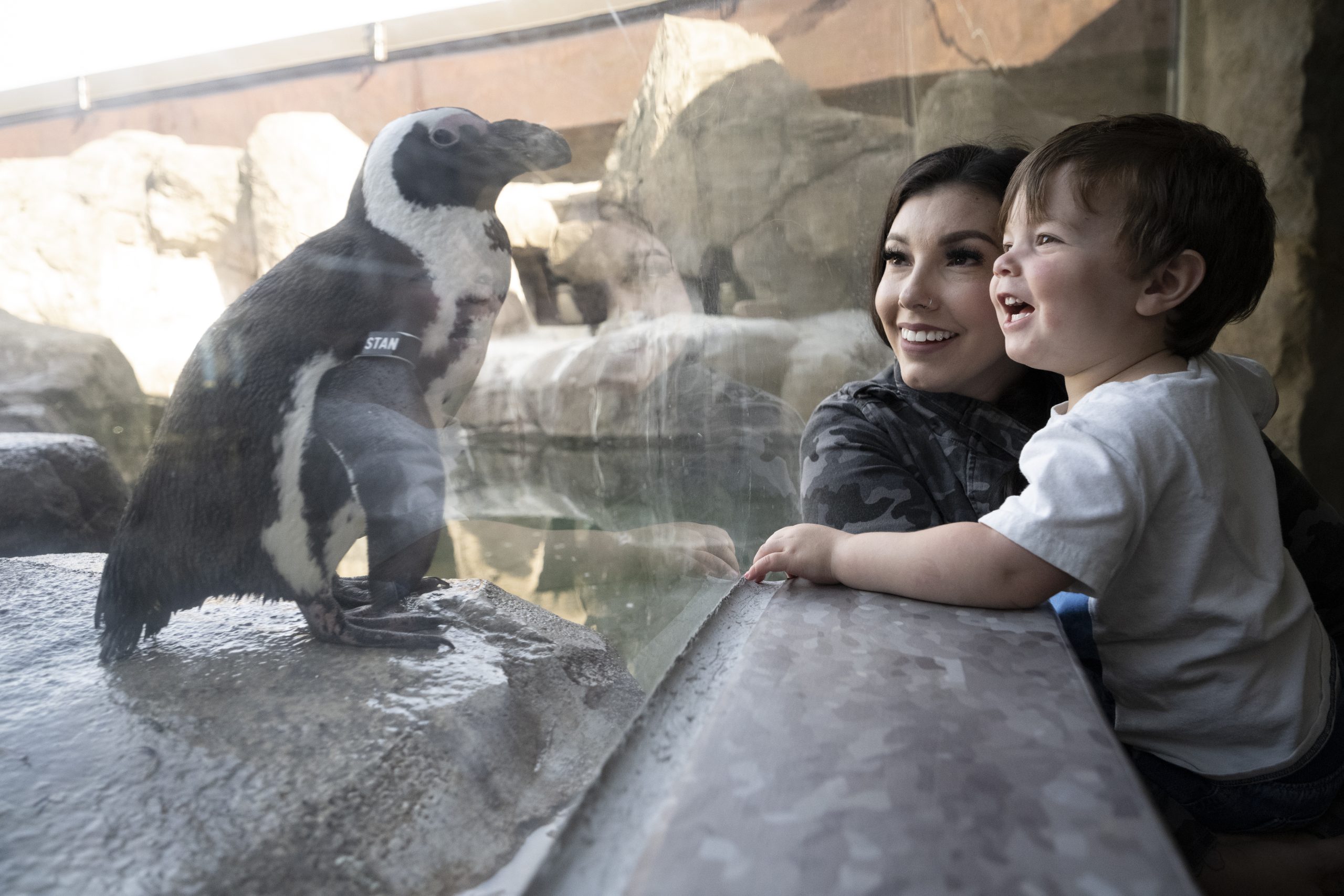 A woman and child smiling looking at an African Penguin up close