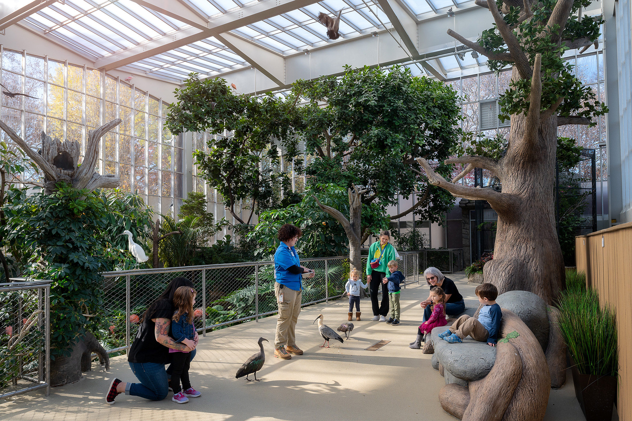 aviary field trip