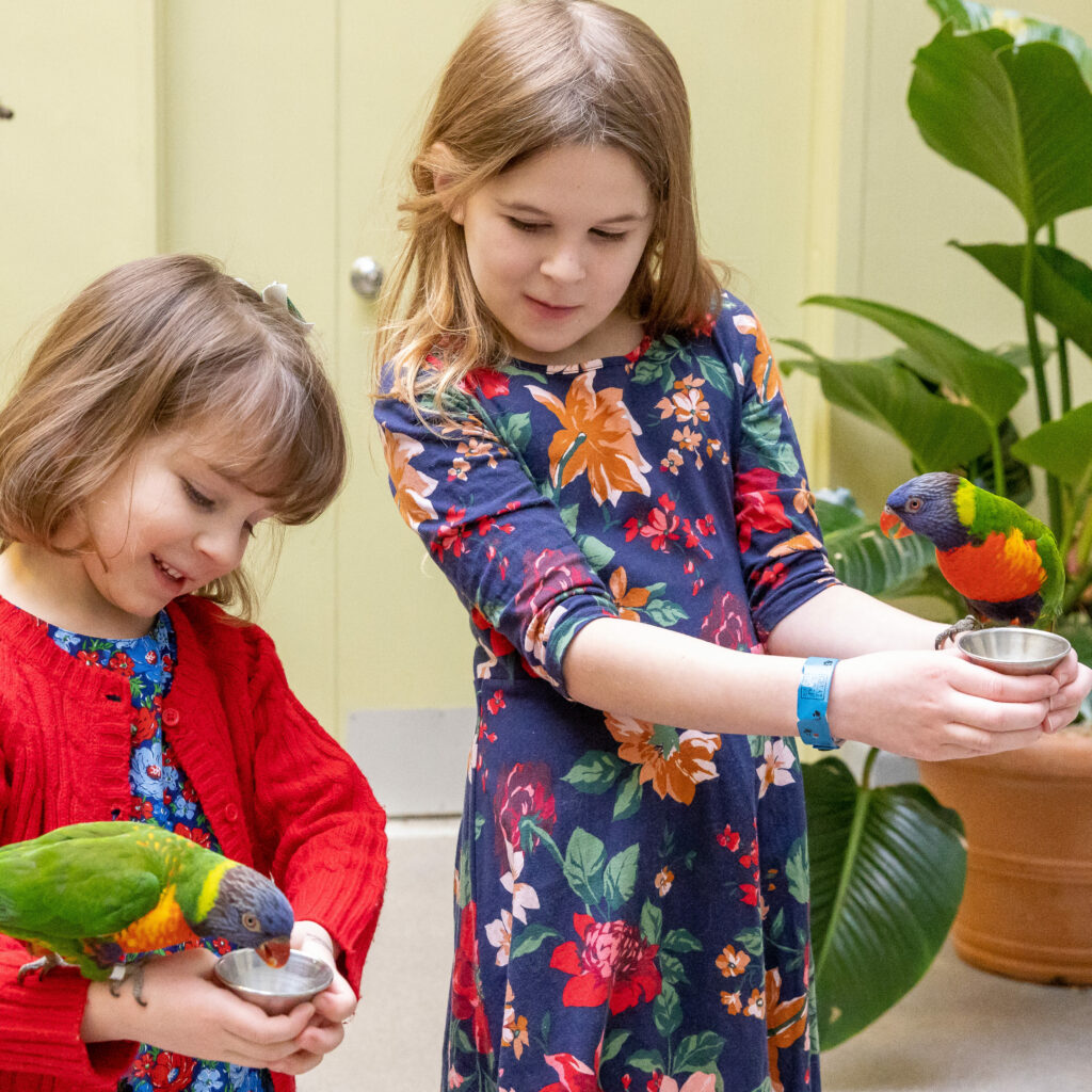 Two young girls holding nectar cups each with a Rainbow Lorikeet on their arm