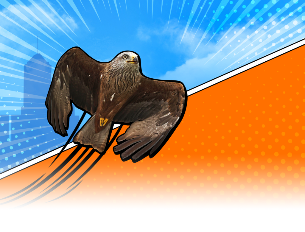 Hours & Admissions National Aviary