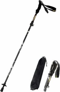 Travel Hiking Pole - 2023 Hike-A-Thon Prize