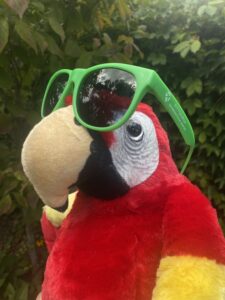 Sunglasses - 2023 Hike-A-Thon Prize