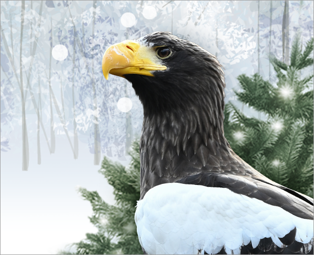 Holiday Happenings at the National Aviary featuring a Steller's Sea-Eagle