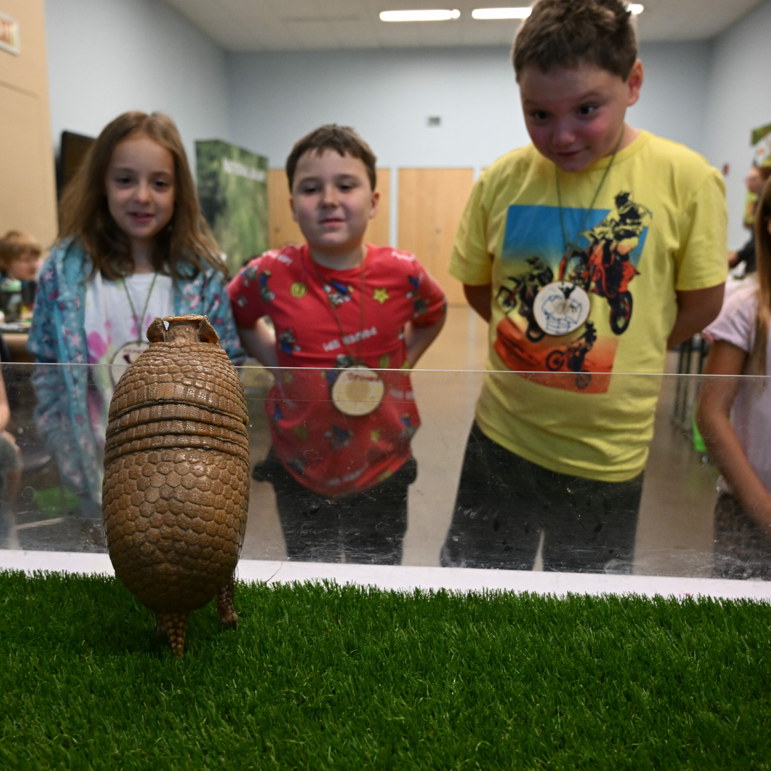 National Aviary young campers with an armadillo.