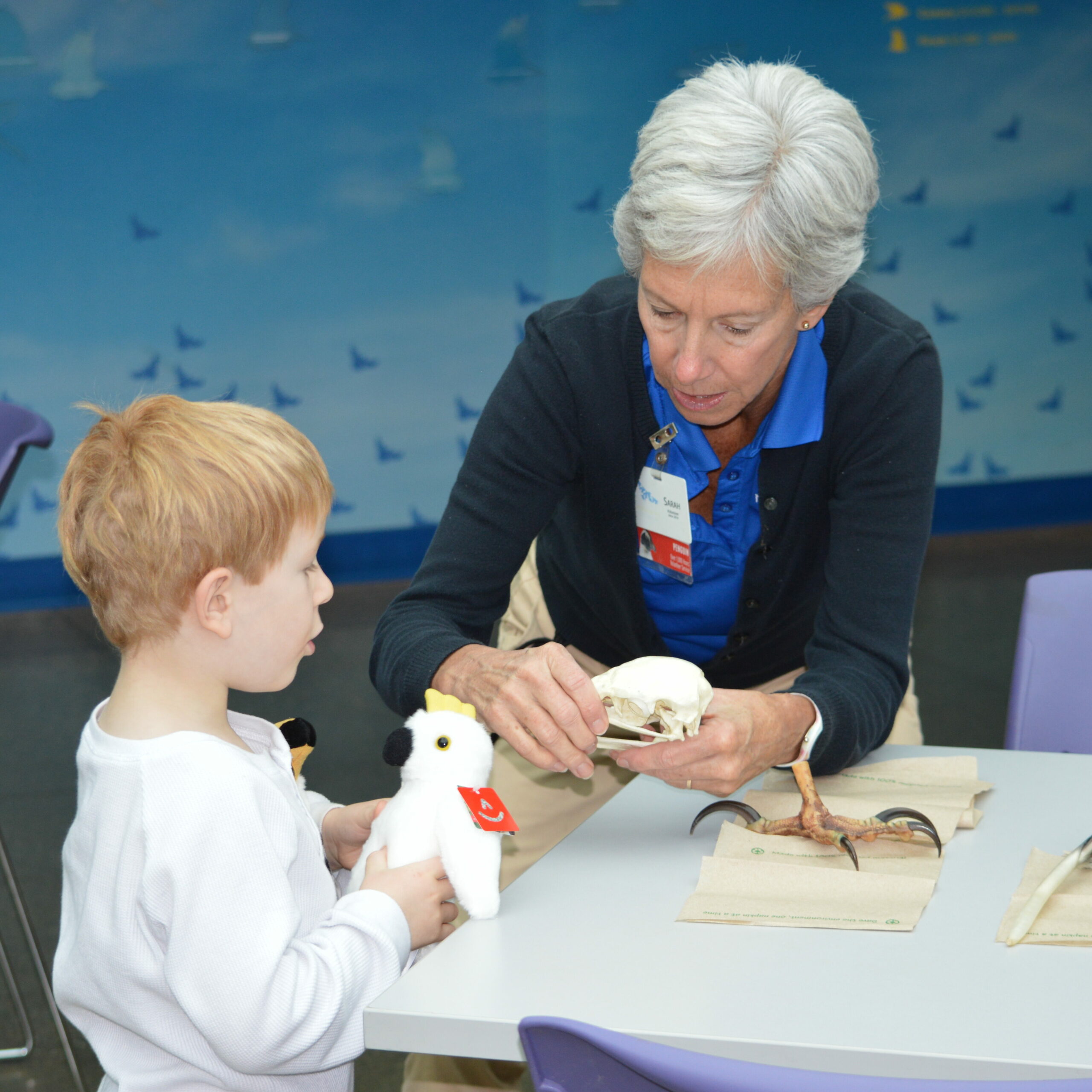 National Aviary expert teaching a young child about birds.