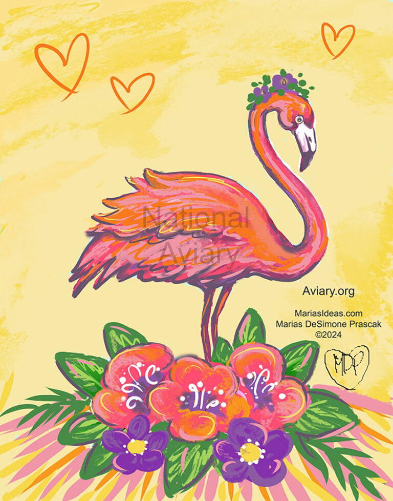 Brushes & Birds featuring Maria DeSimone Prascak of Maria's Ideas