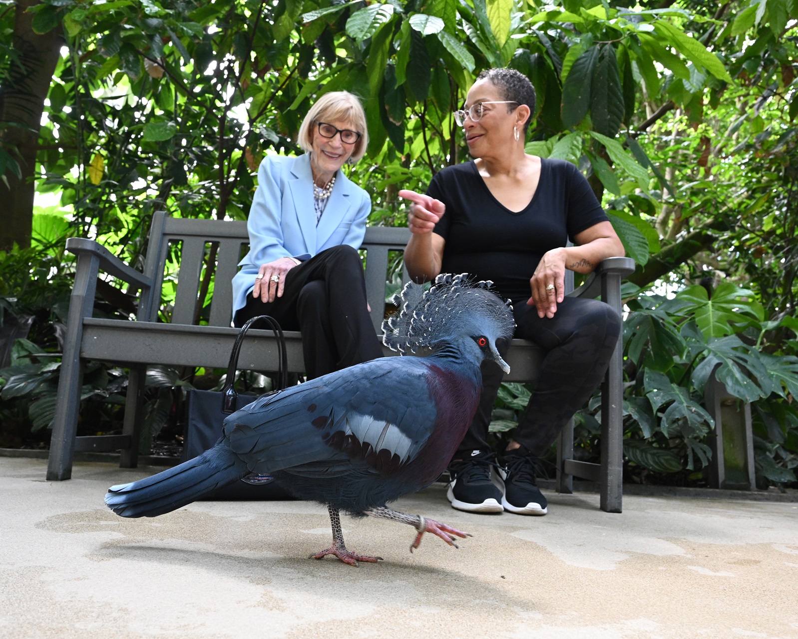 Two women sitting on a bench surrounded by lush, tropical plants and birds. One blue Victoria Crowned Pigeons walks on the ground, in front of the ladies on the bench.