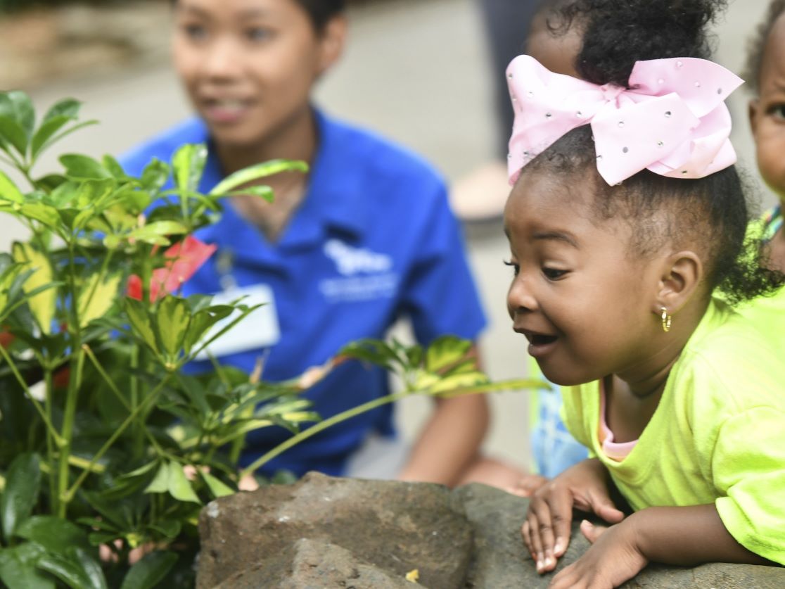 A young girl gleefully looking on as she see something exciting off-camera