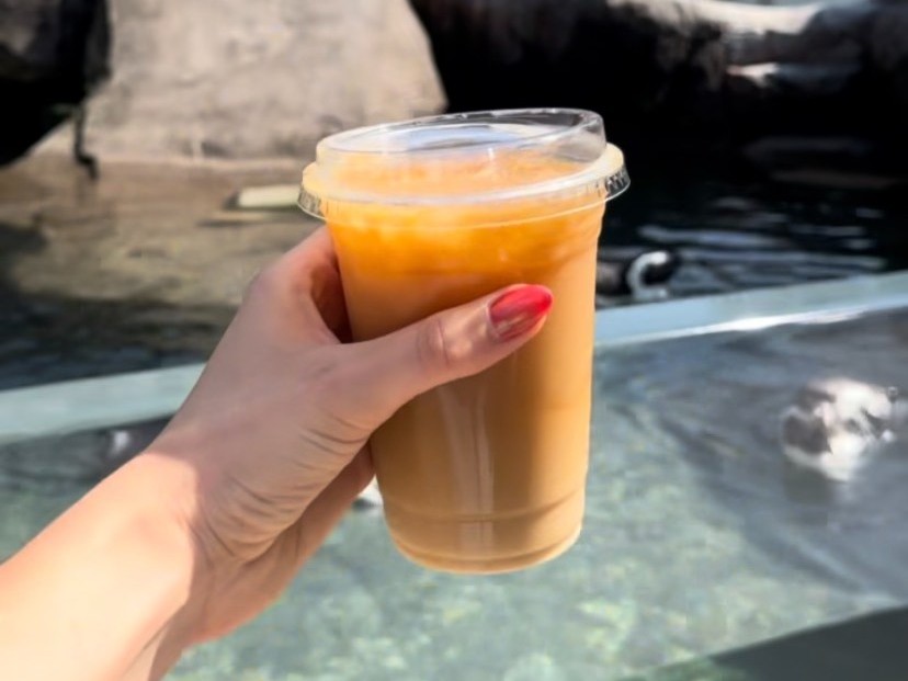 A guest holding up a cup of bird-friendly coffee they purchased at the National Aviary
