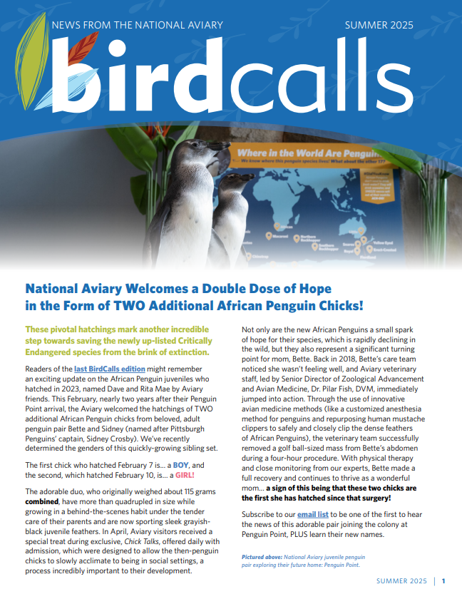 BirdCalls Publisher