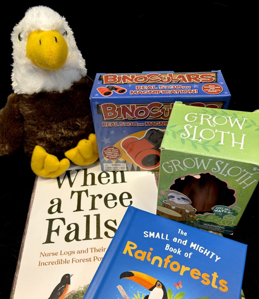 Kid-themed Forests items from our Gift Shop.