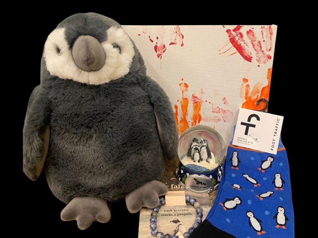 African Penguin plushie, blue socks featuring penguins, an African Penguin snowglobe, and a painting featuring penguin footprints