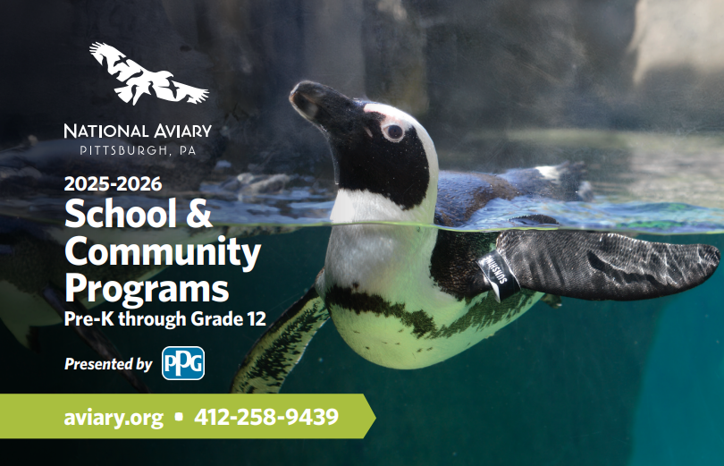 2025-2026 School & Community Programs Brochure