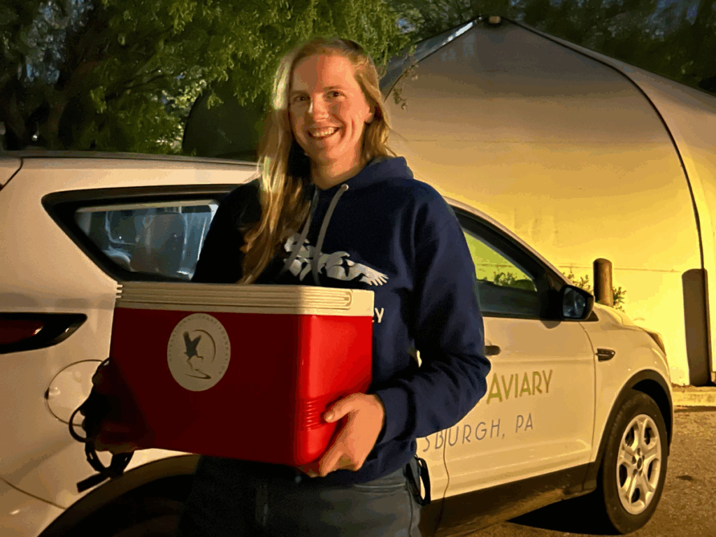 Bri safely delivering fertilized eggs to the Aviary using a temperature controlled, portable incubator