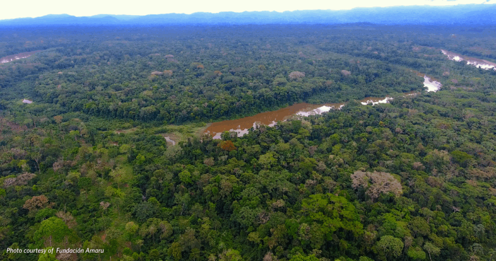 Plot of Amazon Rainforest that will be purchased