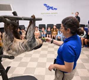 Kids sitting and watching while an Aviary expert feeds a sloth lettuce during camp.