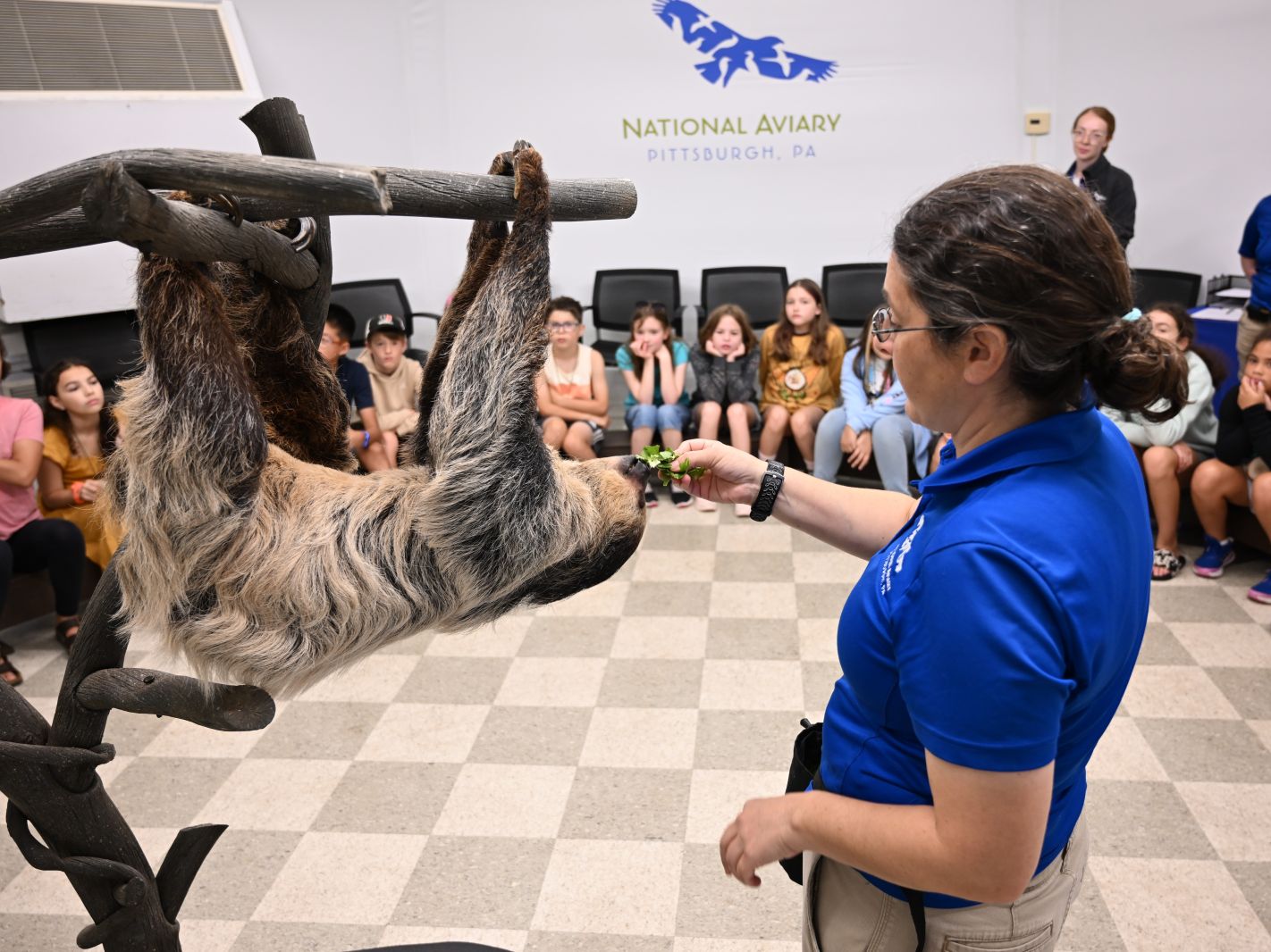 An aviculturist feeding a sloth while teens look on in amazement