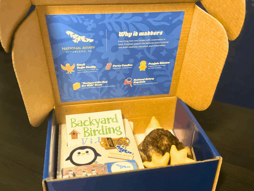 Child's Sustainability Box