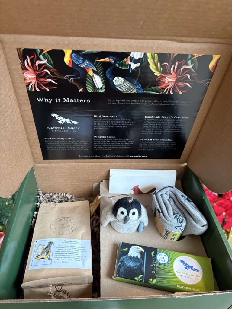 Adult Sustainability Box