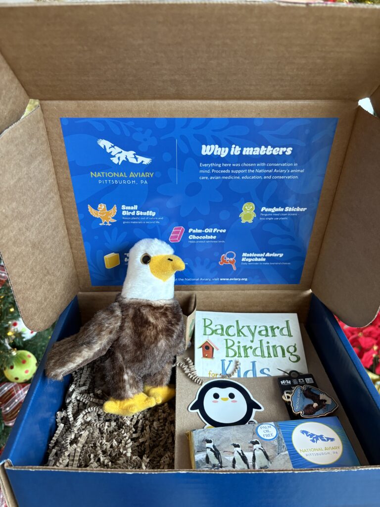 Child's Sustainability Box
