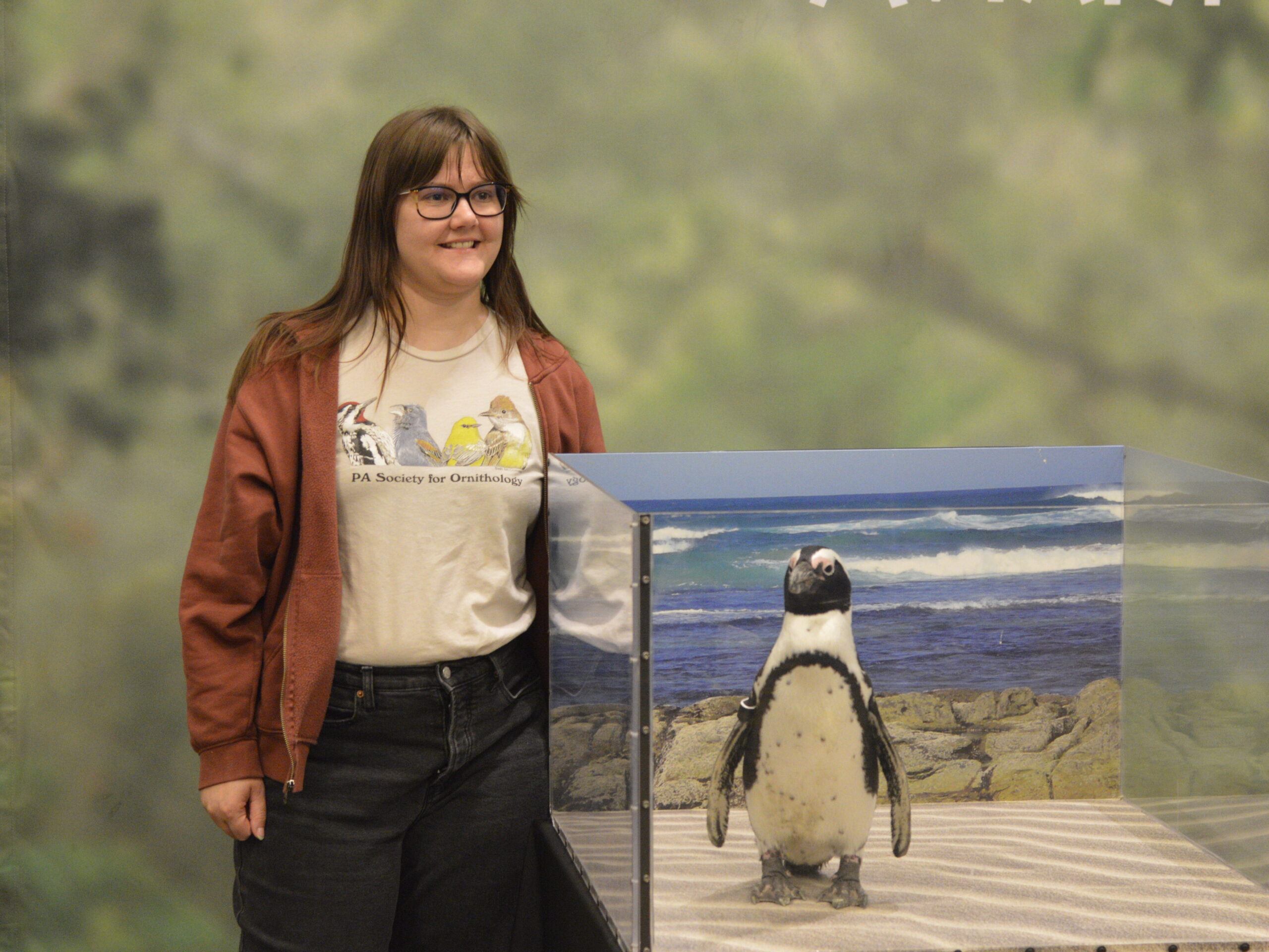 A girl posing with an African Penguin