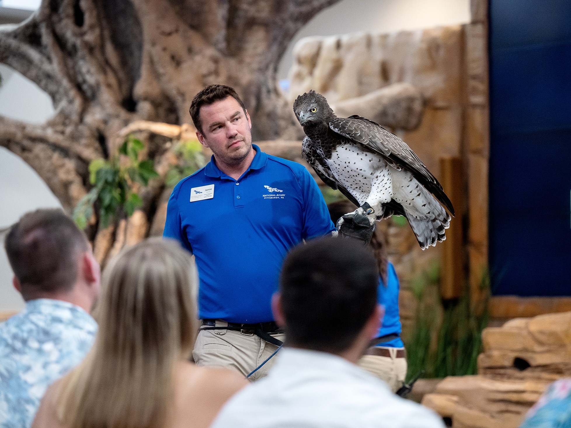 An Aviary expert holding a Martial Eagle on his gloved hand while VIP guests look on