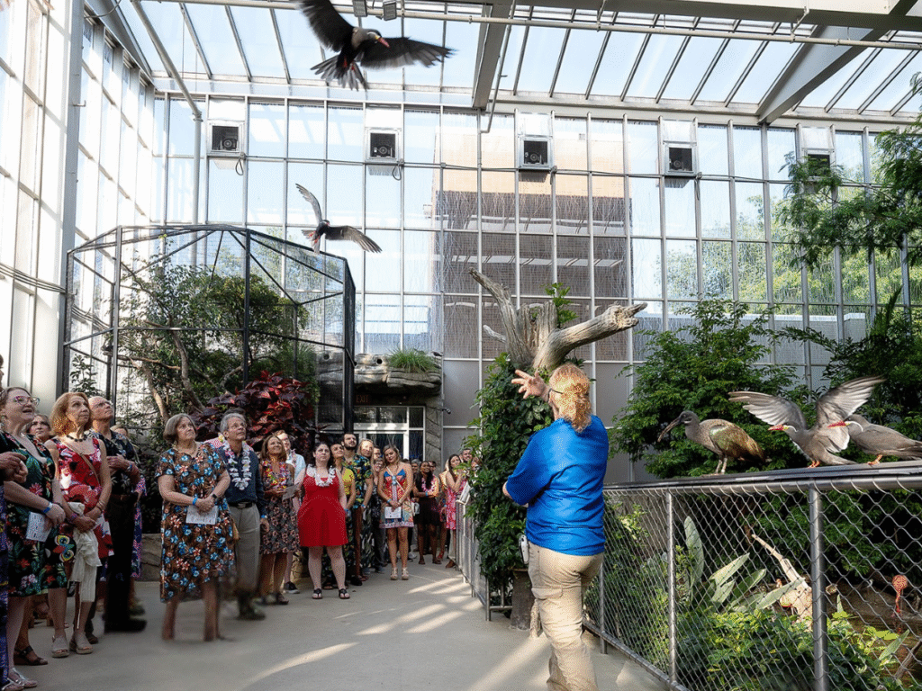 Guests watching as an Aviary expert feeds Inca Terns