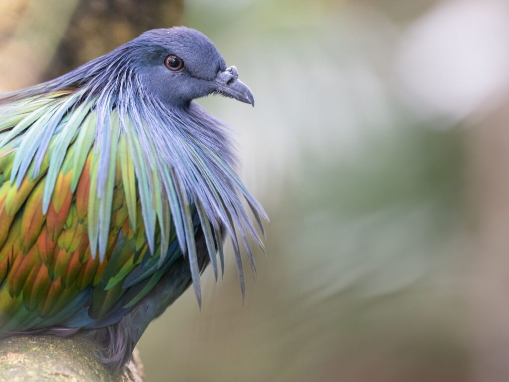 Side profile image of Lady sitting on a log