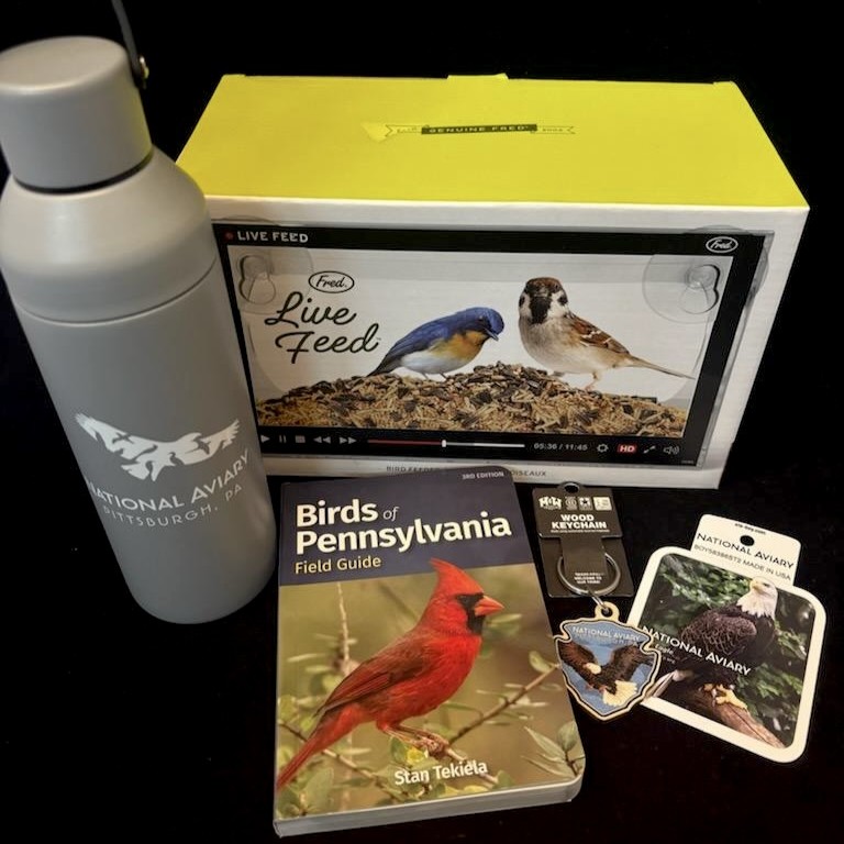 Various gifts for dad