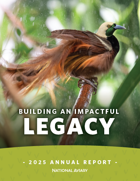 2025 Annual Report Cover