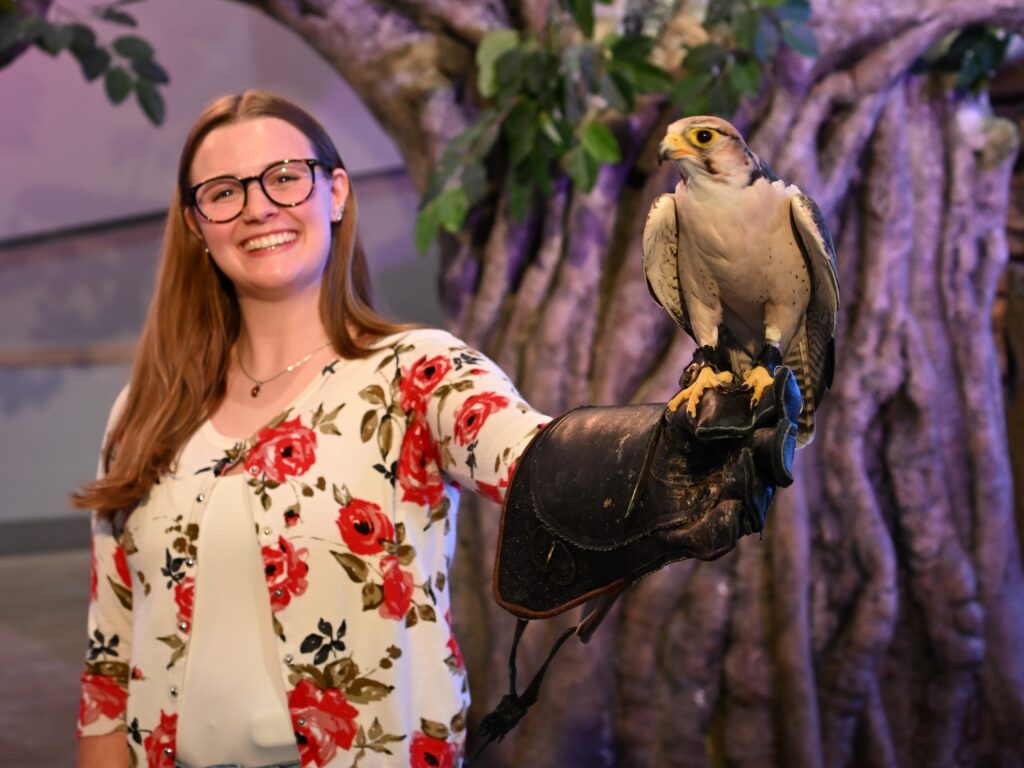 A young encounter participant joyfully holding a Lanner Falcon on her gloved hand