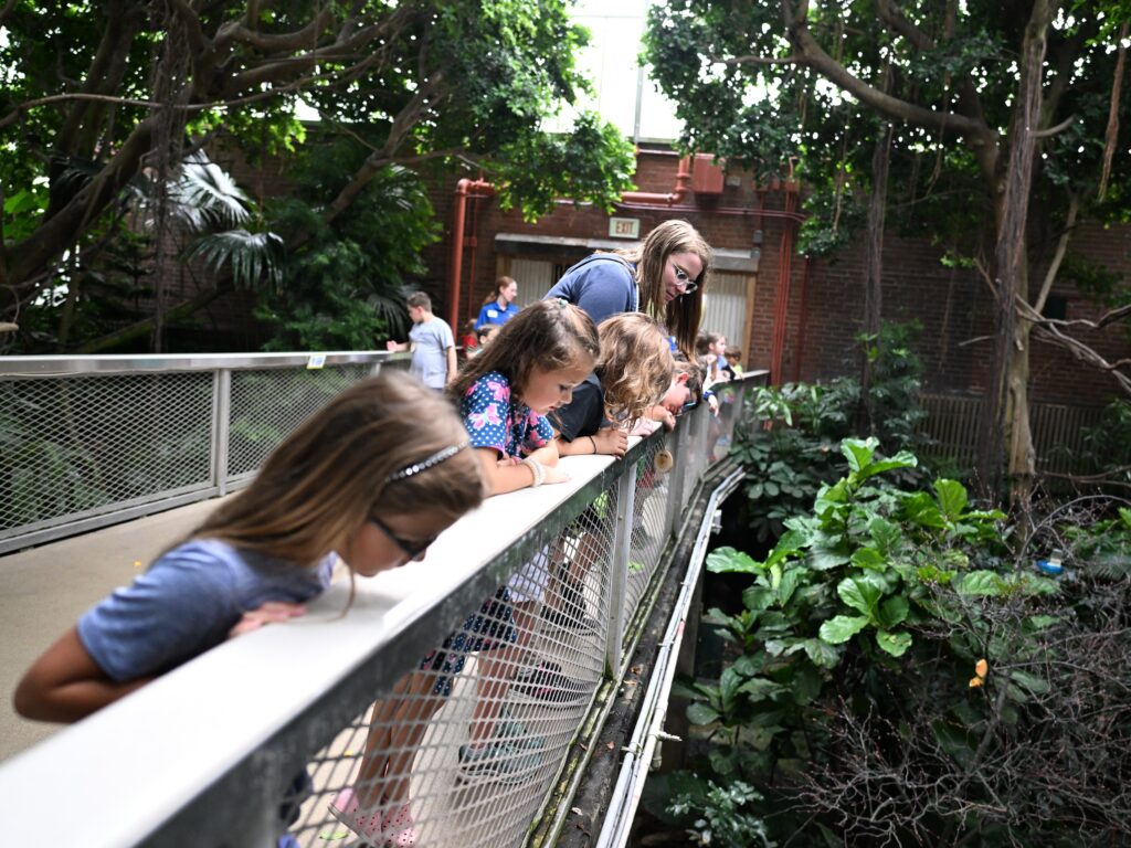 An Aviary educator leading a group of children through the Tropical Rainforest habitat