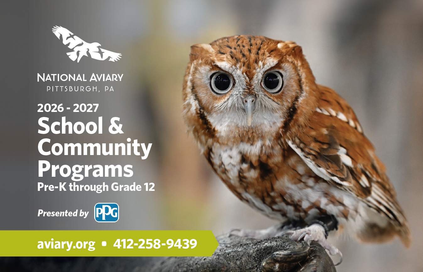 Image of the first page of the National Aviary's 2026 Education Brochure that features an Eastern Screech-Owl